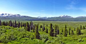 Kanada • USA | Yukon • Alaska - Durch die Wildnis des Yukon und Alaskas Kanada • USA | Yukon • Alaska - Durch die Wildnis des Yukon und Alaskas